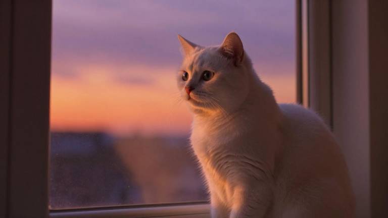 【农机补贴】河北、山东部分县市新补贴动态第一张图