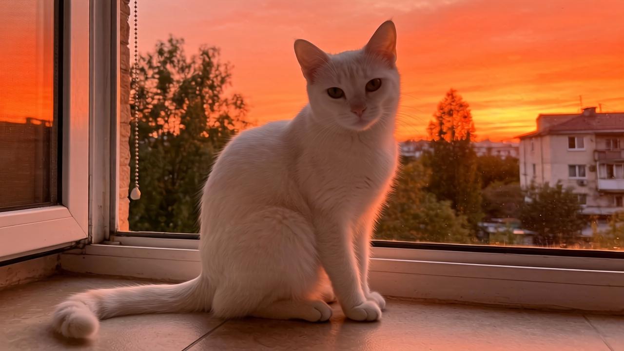 这11种农机高补贴2万元！辽宁省开展农机报废更新补贴工作第一张图