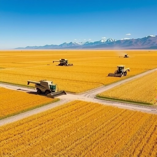 西藏自治区人民政府办公厅关于加快推进农业机械化发展的实施意见(图1)