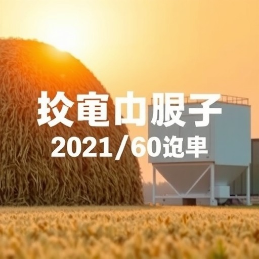 青贮饲料最高可补助60元/吨，黑龙江省出台2021年粮改饲补助政策(图1)
