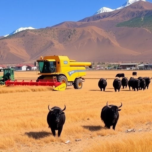 西藏：将青稞、马铃薯、牦牛、藏猪等生产所需机具全部列入补贴范围(图1)