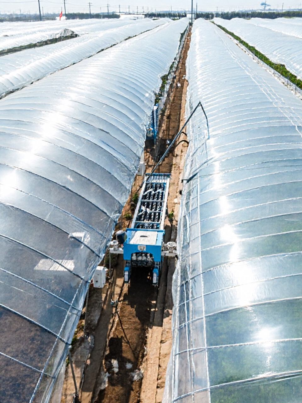 “机械尖兵”亮相： 青铜峡举办设施蔬菜生产耕种机械化作业观摩会(图1)