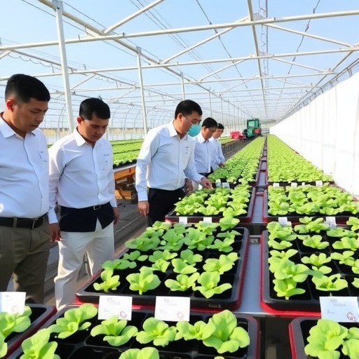 宁夏全面加强瓜菜种苗质量监管工作(图1) 宁夏全面加强瓜菜种苗质量监管工作(图1)