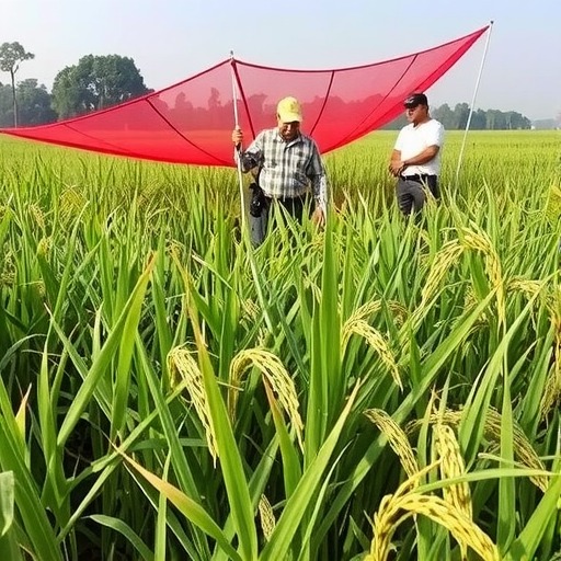 农业农村部工作组在广西云南调研督导时强调 压实责任抓实抓细 努力实现虫口夺粮防灾保丰收(图1) 农业农村部工作组在广西云南调研督导时强调 压实责任抓实抓细 努力实现虫口夺粮防灾保丰收(图1)