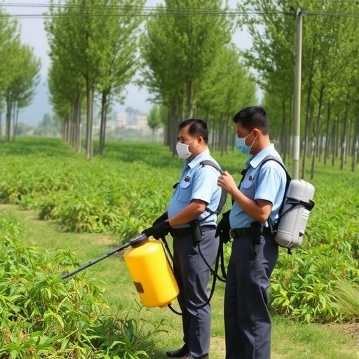 农业农村部派出工作组赴云南边境地区 指导黄脊竹蝗防控防控工作(图1) 农业农村部派出工作组赴云南边境地区 指导黄脊竹蝗防控防控工作(图1)
