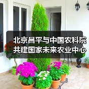 北京昌平与中国农科院共建国家未来农业中心（图4）