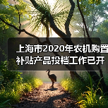 上海市2020年农机购置补贴产品投档工作已开始（图2）