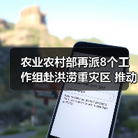 农业农村部再派8个工作组赴洪涝重灾区 推动救灾措施落实促进灾后农业生产恢复(图1) 农业农村部再派8个工作组赴洪涝重灾区 推动救灾措施落实促进灾后农业生产恢复(图1)