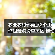 农业农村部再派8个工作组赴洪涝重灾区 推动救灾措施落实促进灾后农业生产恢复(图3) 农业农村部再派8个工作组赴洪涝重灾区 推动救灾措施落实促进灾后农业生产恢复(图3)