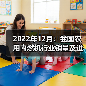 2022年12月:我国农用内燃机行业销量及进出口情况概述(图2) 2022年12月:我国农用内燃机行业销量及进出口情况概述(图2)
