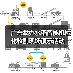 广东举办水稻智能机械化收割现场演示活动（图2）