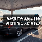 九部委联合实施农村创新创业带头人培育行动 力争到2025年培育农村创新创业带头人100万以上（图4）