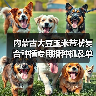 内蒙古大豆玉米带状复合种植专用播种机及单一播种机补贴额度公示（图3）