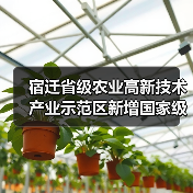 宿迁省级农业高新技术产业示范区新增国家级实践教育平台（图1）