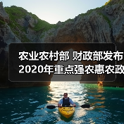 农业农村部 财政部发布2020年重点强农惠农政策（图2）