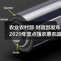 农业农村部 财政部发布2020年重点强农惠农政策（图4）