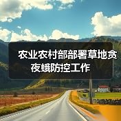 农业农村部部署草地贪夜蛾防控工作（图4）