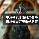 贵州省农业农村厅关于贵州省大豆玉米带状复合种植专用播种机补贴额度的公示（图3）