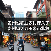 贵州省农业农村厅关于贵州省大豆玉米带状复合种植专用播种机补贴额度的公示（图1）