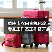 重庆市农田宜机化改造专家工作室工作召开启动会（图2）