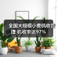 全国大规模小麦机收告捷 机收率达97%（图4）
