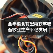 全年粮食有望再获丰收 畜牧业生产平稳发展(图4) 全年粮食有望再获丰收 畜牧业生产平稳发展(图4)