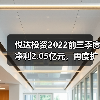 悦达投资2022前三季度净利2.05亿元,再度扩大新能源布局(图3) 悦达投资2022前三季度净利2.05亿元,再度扩大新能源布局(图3)