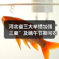 河北省三大举措加强“三夏”及端午节期间农机安全生产工作（图1）