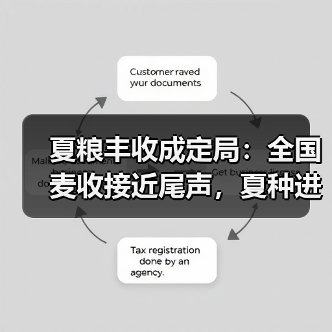 夏粮丰收成定局:全国麦收接近尾声,夏种进行中(图2) 夏粮丰收成定局:全国麦收接近尾声,夏种进行中(图2)