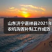 山东济宁嘉祥县2021年农机购置补贴工作成效突出（图2）