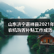 山东济宁嘉祥县2021年农机购置补贴工作成效突出（图4）