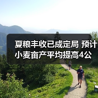 夏粮丰收已成定局 预计小麦亩产平均提高4公斤（图2）
