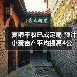 夏粮丰收已成定局 预计小麦亩产平均提高4公斤（图1）