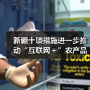 新疆十项措施进一步推动“互联网＋”农产品出村进城工程（图2）