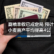 夏粮丰收已成定局 预计小麦亩产平均提高4公斤（图4）