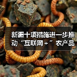 新疆十项措施进一步推动“互联网＋”农产品出村进城工程（图1）