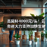 高奖补4000元/头！云南省大力支持加快生猪产业发展（图2）