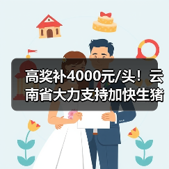 高奖补4000元/头！云南省大力支持加快生猪产业发展（图4）