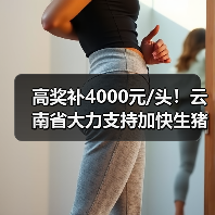 高奖补4000元/头！云南省大力支持加快生猪产业发展（图3）