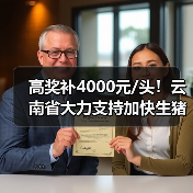 高奖补4000元/头！云南省大力支持加快生猪产业发展（图1）