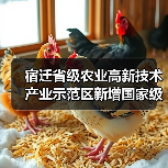 宿迁省级农业高新技术产业示范区新增国家级实践教育平台（图2）