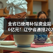 全省已使用补贴资金超6亿元！辽宁省通报2021年农机补贴资金实施情况（图2）