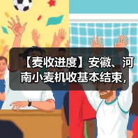 【麦收进度】安徽、河南小麦机收基本结束，山东已过半（图4）