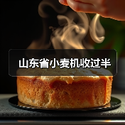 山东省小麦机收过半（图4）
