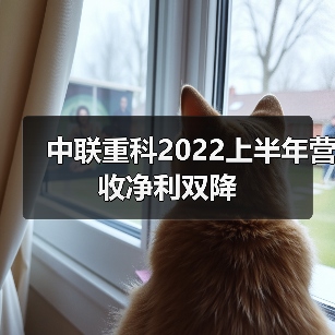 中联重科2022上半年营收净利双降(图2) 中联重科2022上半年营收净利双降(图2)