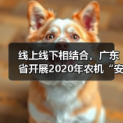 线上线下相结合,广东省开展2020年农机“安全生产月”活动(图1) 线上线下相结合,广东省开展2020年农机“安全生产月”活动(图1)