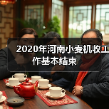 2020年河南小麦机收工作基本结束（图1）