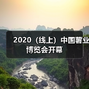 2020（线上）中国薯业博览会开幕（图2）