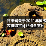 甘肃省关于2021年省级农机购置补贴资金支付进度情况的通报(图4) 甘肃省关于2021年省级农机购置补贴资金支付进度情况的通报(图4)