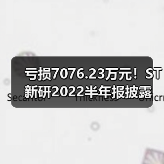 亏损7076.23万元！ST新研2022半年报披露（图1）